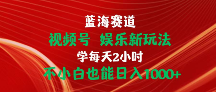 （10818期）蓝海赛道视频号 娱乐新玩法每天2小时小白也能日入1000+-轻创淘金网