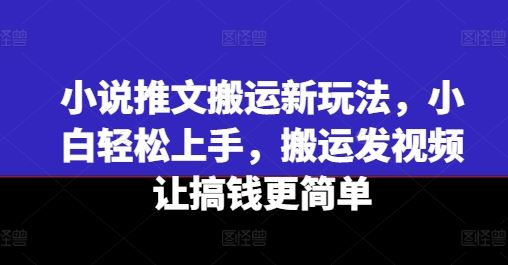 小说推文搬运新玩法，小白轻松上手，搬运发视频让搞钱更简单-轻创淘金网