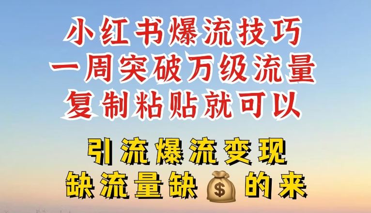 小红书爆流技巧，一周突破万级流量，复制粘贴就可以，引流爆流变现【揭秘】-轻创淘金网