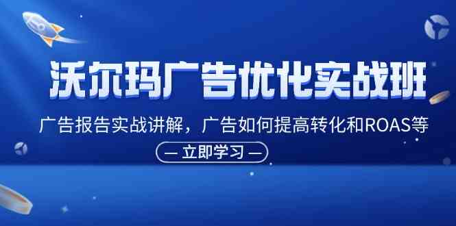 沃尔玛广告优化实战班，广告报告实战讲解，广告如何提高转化和ROAS等-轻创淘金网