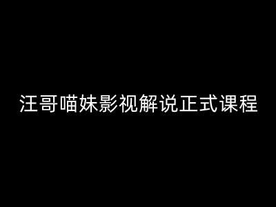 汪哥影视解说正式课程：剪映/PR教学/视解说剪辑5大黄金法则/全流程剪辑7把利器等等-轻创淘金网