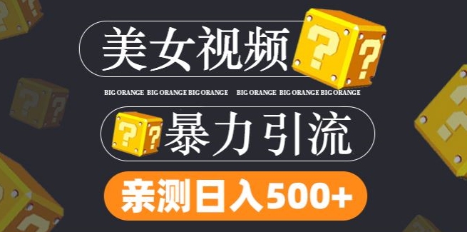 搬运tk美女视频全网分发，日引s粉300+，轻松变现，不限流量不封号-轻创淘金网