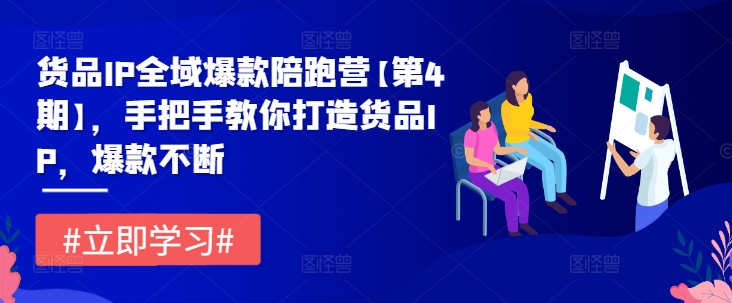 货品IP全域爆款陪跑营【第4期】，手把手教你打造货品IP，爆款不断-轻创淘金网